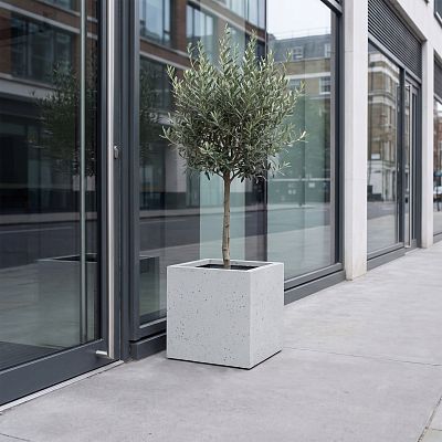 IDEALIST Lite Square Box Contemporary Marble Light Concrete Planter