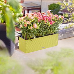LECHUZA CUBE Color Triple Trough Poly Resin Self-watering Planter