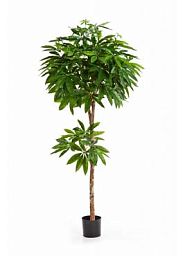 Pachira Artificial Tree Plant