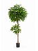 Pachira Artificial Tree Plant