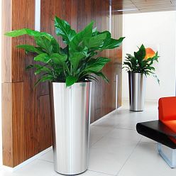 Superline Conica Topper on Ring Tall Indoor Planter