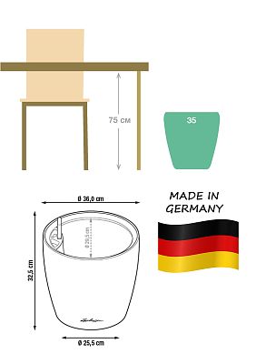 Dracaena Fragrans Compacta in LECHUZA CLASSICO LS Self-watering Planter, Total Height 105 cm