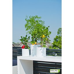 Fiberstone Glossy Puk Light Planter by Idealist Premium