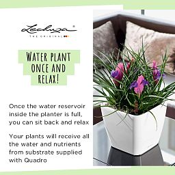 LECHUZA Quadro LS Square Poly Resin Self-watering Planter