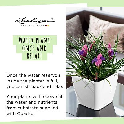 LECHUZA Quadro LS Square Poly Resin Self-watering Planter