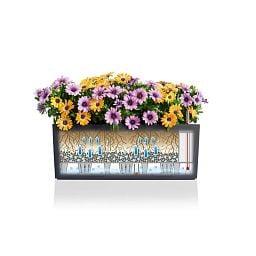 LECHUZA BALCONERA Color Trough Poly Resin Self-watering Planter