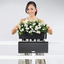 LECHUZA BALCONERA Cottage Trough Poly Resin Self-watering Planter Set