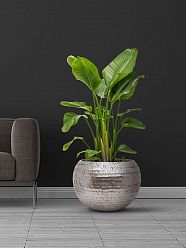 Opus Polystone Globe Planter + Liner | Hammered Finish Indoor Plant Pot