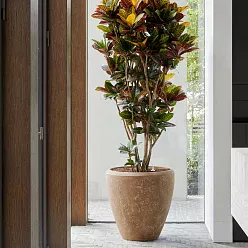 Composits Polystone Rock Plain Couple Indoor Planter Pot