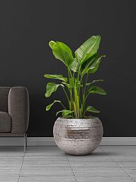 Opus Polystone Globe Planter + Liner | Hammered Finish Indoor Plant Pot