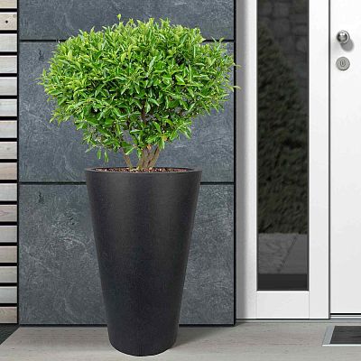 IDEALIST Lite Contemporary Round Light Concrete Planter