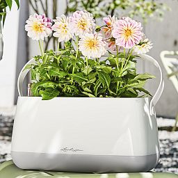 LECHUZA YULA Plant Bag Trough Poly Resin Indoor Self-watering Planter