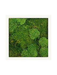 Moss Painting Stiel Square