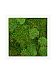 Moss Painting Stiel Square