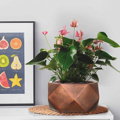 IDEALIST Lite Faceted Effect Bronze Bowl Planter Indoor Plant Pot