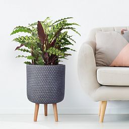 IDEALIST Lite Honeycomb Style Cylinder Planter on Legs, Round Pot Plant Stand Indoor
