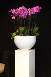 Fiberstone Glossy Peter Light Planter by Idealist Premium