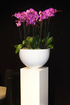 Fiberstone Glossy Peter Light Planter by Idealist Premium