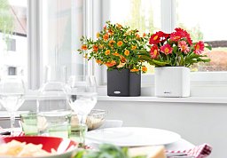 LECHUZA CUBE Color Square Poly Resin Indoor Self-watering Planter Set