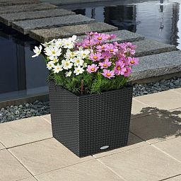 LECHUZA CUBE Cottage Square Poly Resin Self-watering Planter