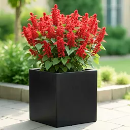 Square Fiberstone Planter by Idealist Premium