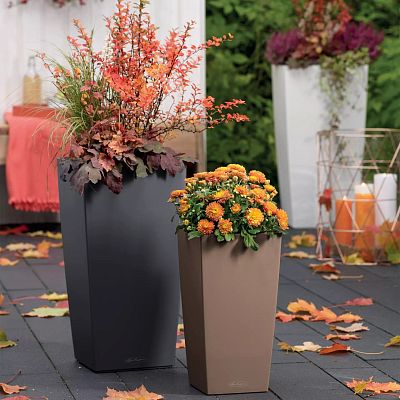 LECHUZA CUBICO Color Square Tall Poly Resin Self-watering Planter