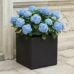 IDEALIST Lite Square Box Contemporary Light Concrete Planter
