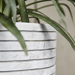 Round Resin Row Planter by Cadix Capi Tutch Vase Elegance Low