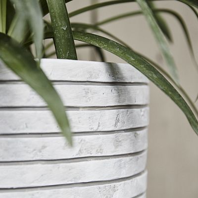 Round Egg Resin Planter by Cadix Capi Tutch Row