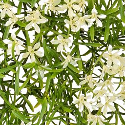Hanging Flame Retardant Artificial Branch Plant