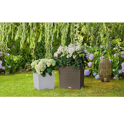 LECHUZA CUBE Cottage Square Poly Resin Self-watering Planter