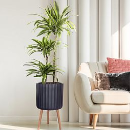 IDEALIST Lite Modern Ribbed Cylinder Planter on Legs, Round Pot Plant Stand Indoor