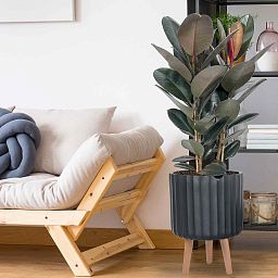 IDEALIST Lite Modern Ribbed Cylinder Planter on Legs, Round Pot Plant Stand Indoor