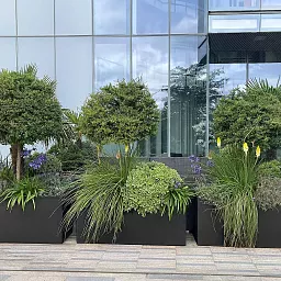 IDEALIST Lite Contemporary Light Concrete Trough Planter