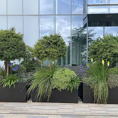 IDEALIST Lite Contemporary Light Concrete Trough Planter