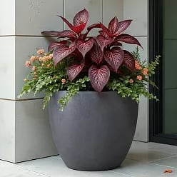 IDEALIST Lite Contemporary Light Concrete Egg Planter