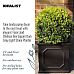IDEALIST Lite Faux Lead Chelsea Box Square Light Concrete Planter