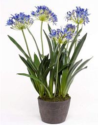 Agapanthus Blue Artificial Flower Plant