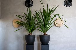 Fibrestone Jesslyn Round Planter by Idealist Premium