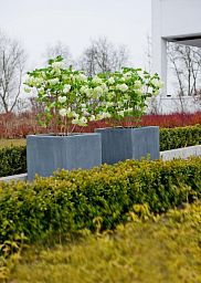 Square Fiberstone Planter by Idealist Premium JUMBO