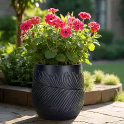 IDEALIST Lite Leaf Embossed Egg Planter