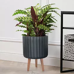 IDEALIST Lite Modern Ribbed Cylinder Planter on Legs, Round Pot Plant Stand Indoor