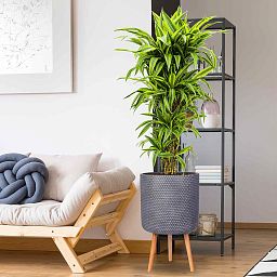 IDEALIST Lite Honeycomb Style Cylinder Planter on Legs, Round Pot Plant Stand Indoor