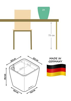 Blooming Orchids in LECHUZA QUADRO LS Self-watering Planter, Total Height 70 cm