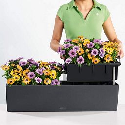LECHUZA BALCONERA Color Trough Poly Resin Self-watering Planter Set