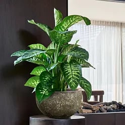 Lava Ceramic Bowl Planter | Indoor and Outdoor Plant Pot