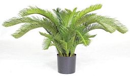 CYCASPALME DELUXE Artificial Tree Plant