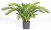 CYCASPALME DELUXE Artificial Tree Plant