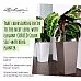 LECHUZA CUBICO Color Square Tall Poly Resin Self-watering Planter