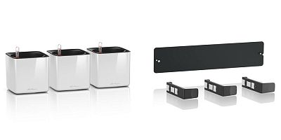 LECHUZA Green Wall Home Kit Glossy Indoor Self-watering Planter